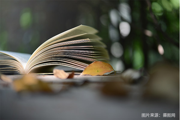 专升本需不需要报班学？