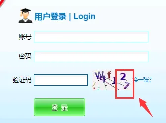쿪ʼ2025긣רȫ